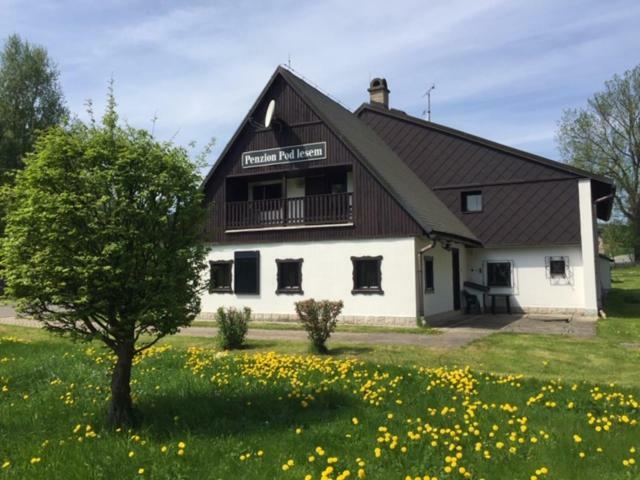 Penzion Pod Lesem Hotel Hodkovice Exterior foto